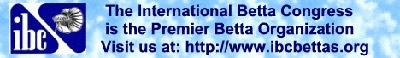 Le site de l'International Betta Congress